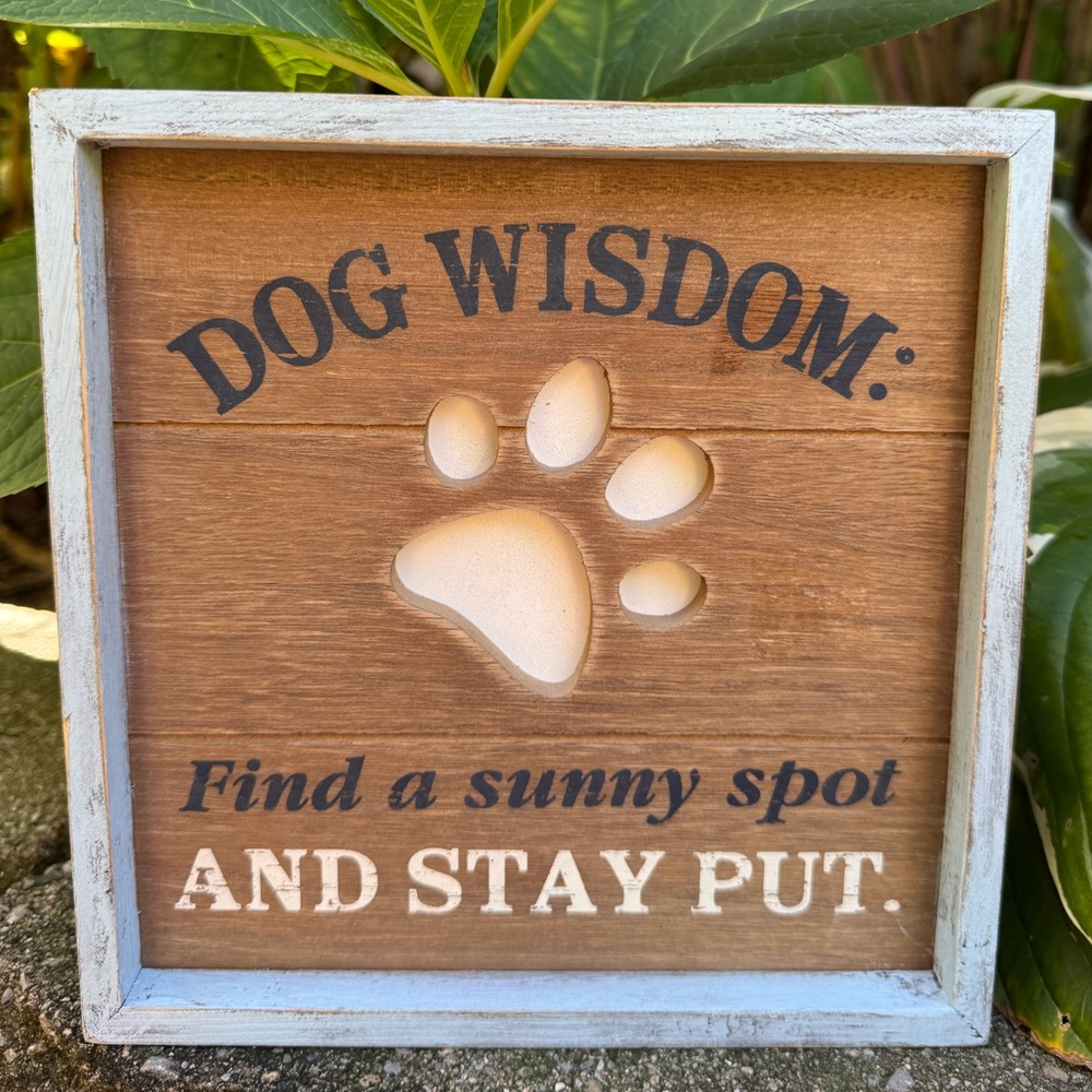 NWT small Dog Wisdom Wooden Sign